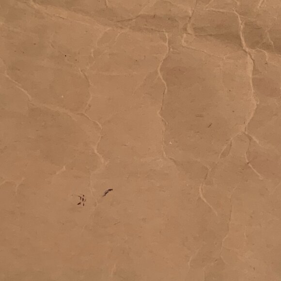 Comme des Garçons paper PVC tote bag - Picture 5 of 9